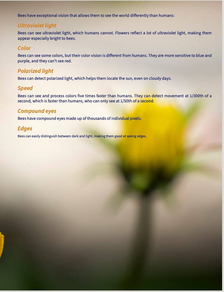 Bee-yond the Ordinary: Vol 4