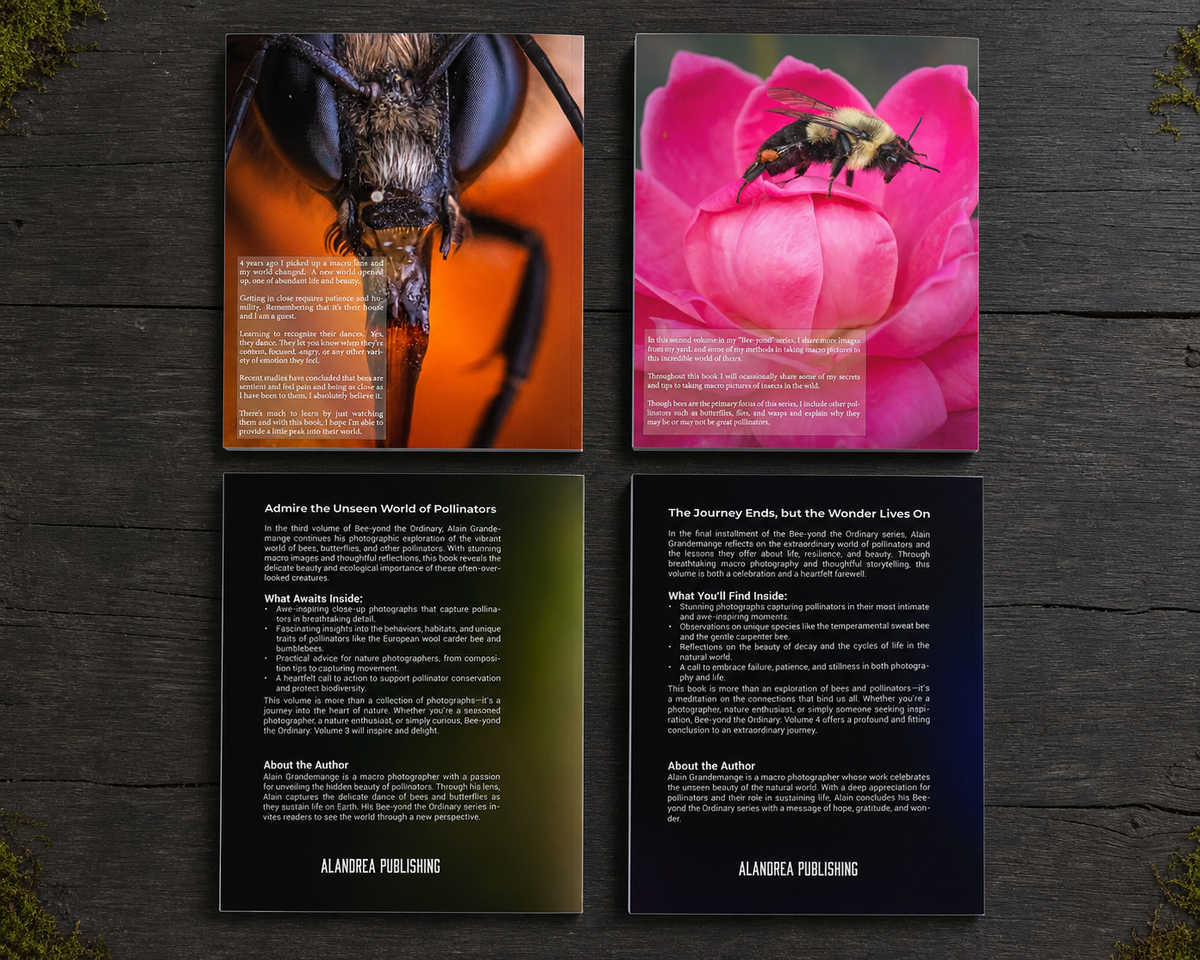 Bee-Yond the Ordinary Complete 4-Book Collection | Bee & Pollinator Macro Photography Books