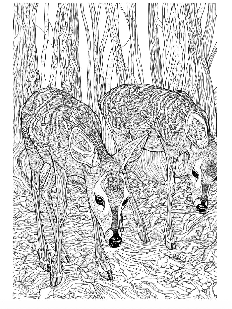 Woodland Creatures of the Shenandoah Valley