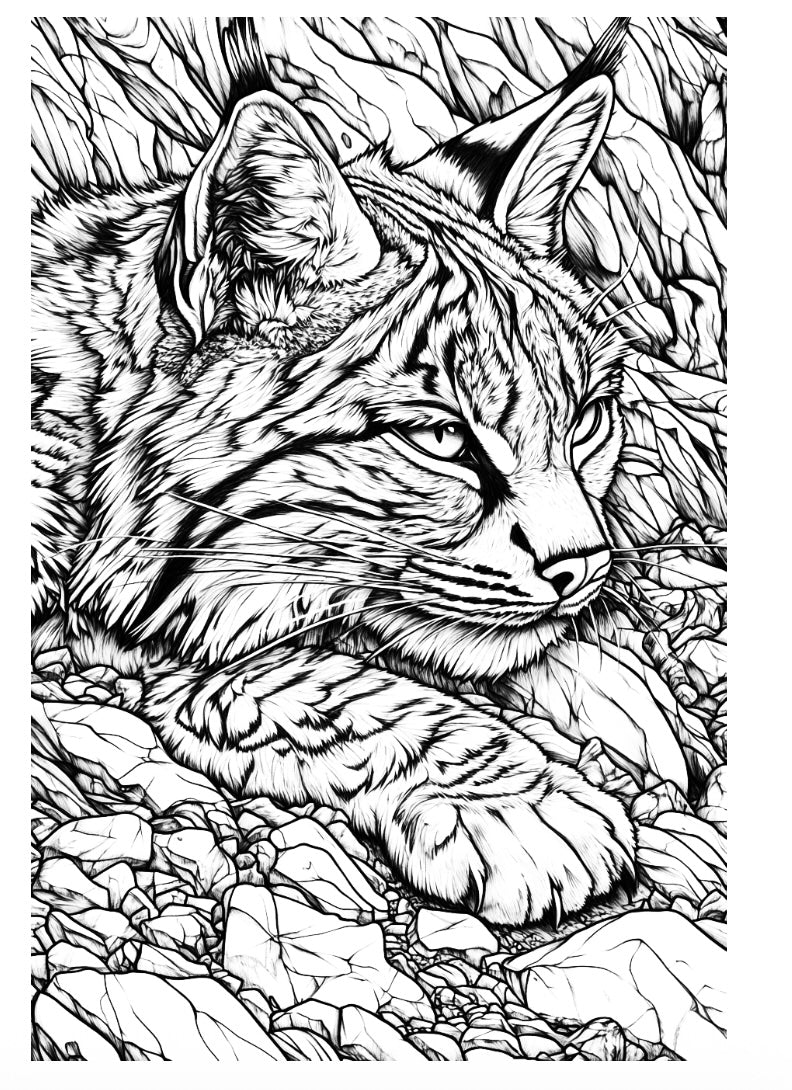 Woodland Creatures of the Shenandoah Valley