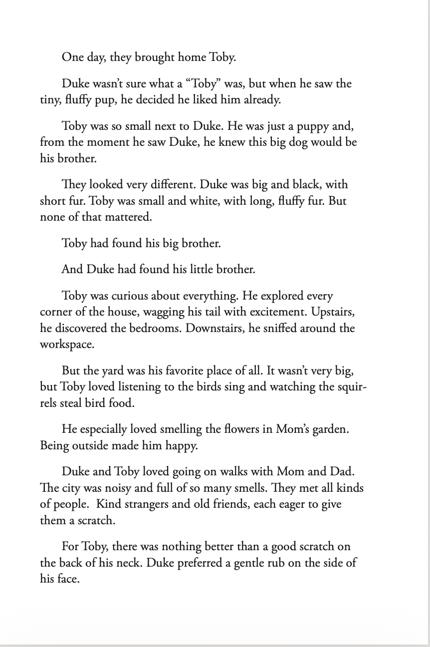 The Adventures of Duke & Toby - Vol 1