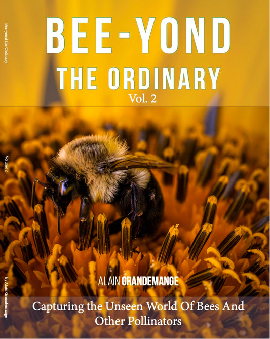 Bee-Yond Volume 2
