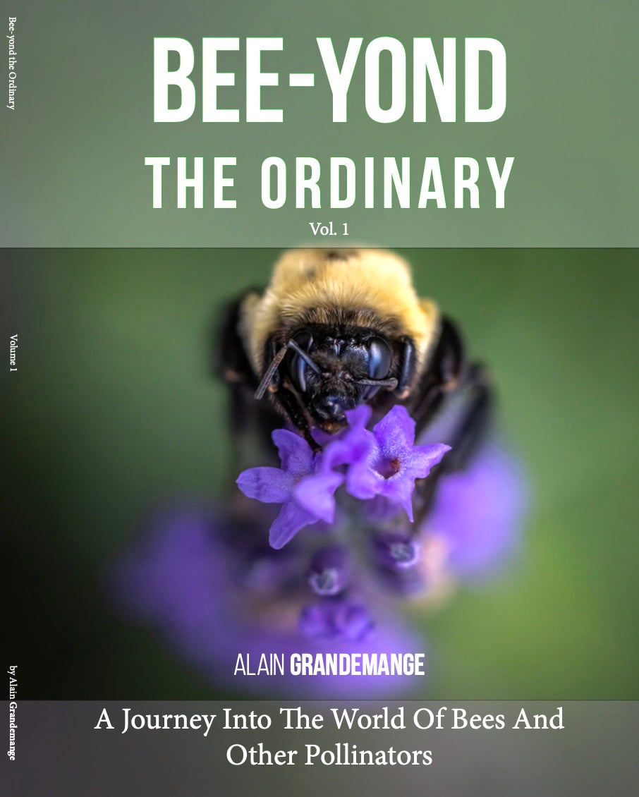 Bee-yond the Ordinary™ Bee & Pollinator Book Bundle | Nature Photography & Conservation