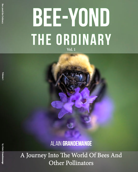 Bee-Yond Volume 1