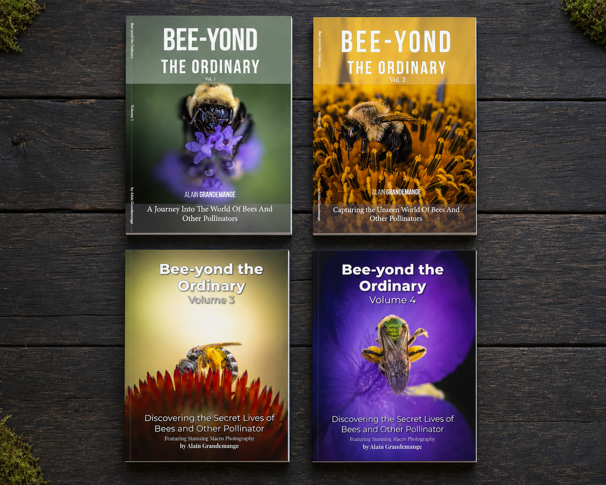 Bee-Yond the Ordinary Complete 4-Book Collection | Bee & Pollinator Macro Photography Books