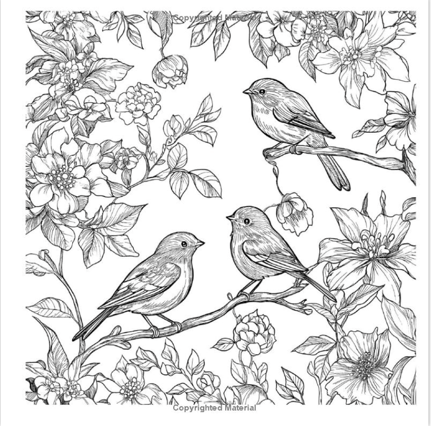 Gratitude:  A Coloring Book